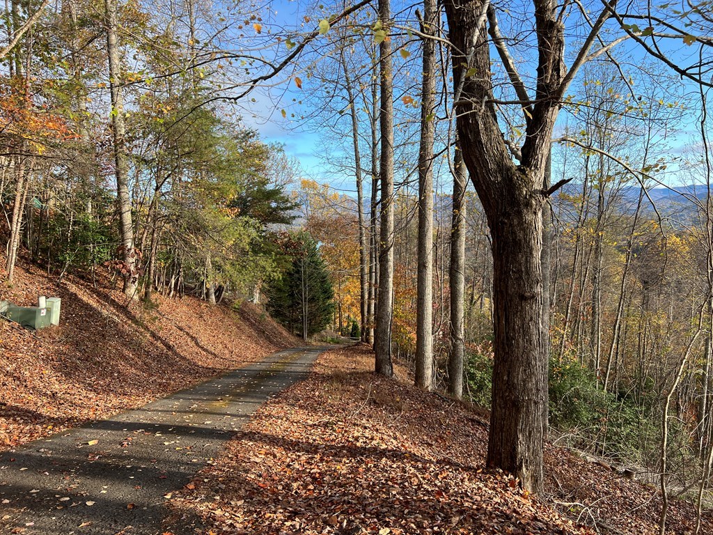 Tr 1 Hidden Summit #33, HIAWASSEE, Georgia image 5