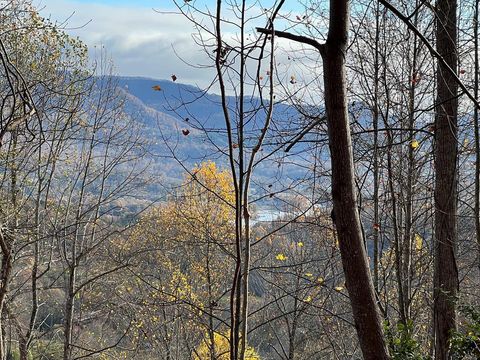 Vacant Land For Sale - TR 1 Hidden Summit #33<br/> HIAWASSEE, GA 30546