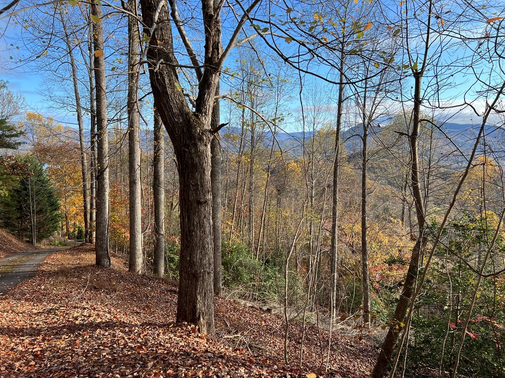 Tr 1 Hidden Summit #33, HIAWASSEE, Georgia image 14