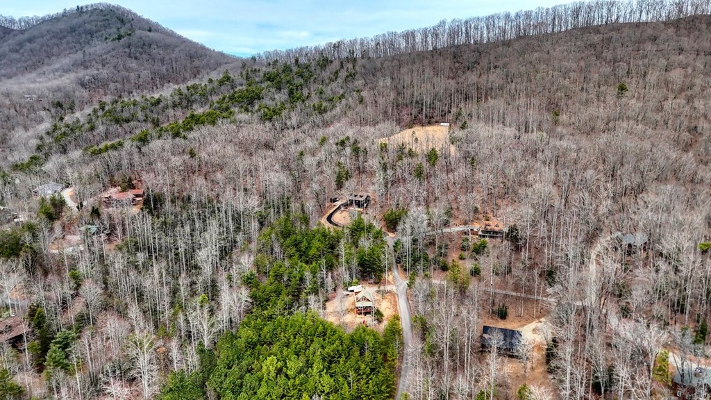 315 Hidden Branch Dr, BLAIRSVILLE, Georgia image 39