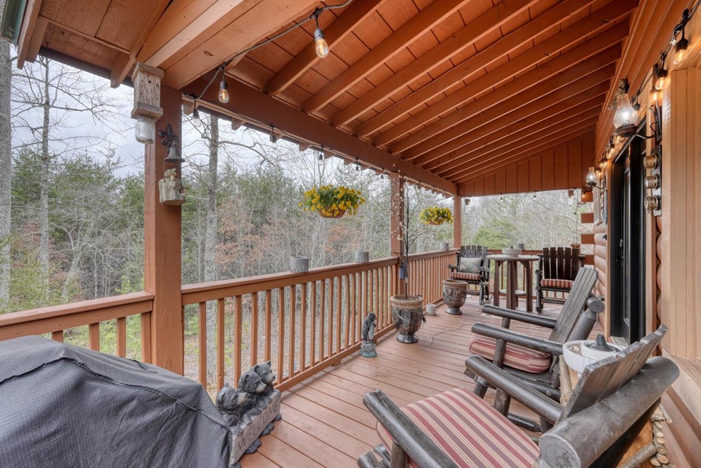 315 Hidden Branch Dr, BLAIRSVILLE, Georgia image 8