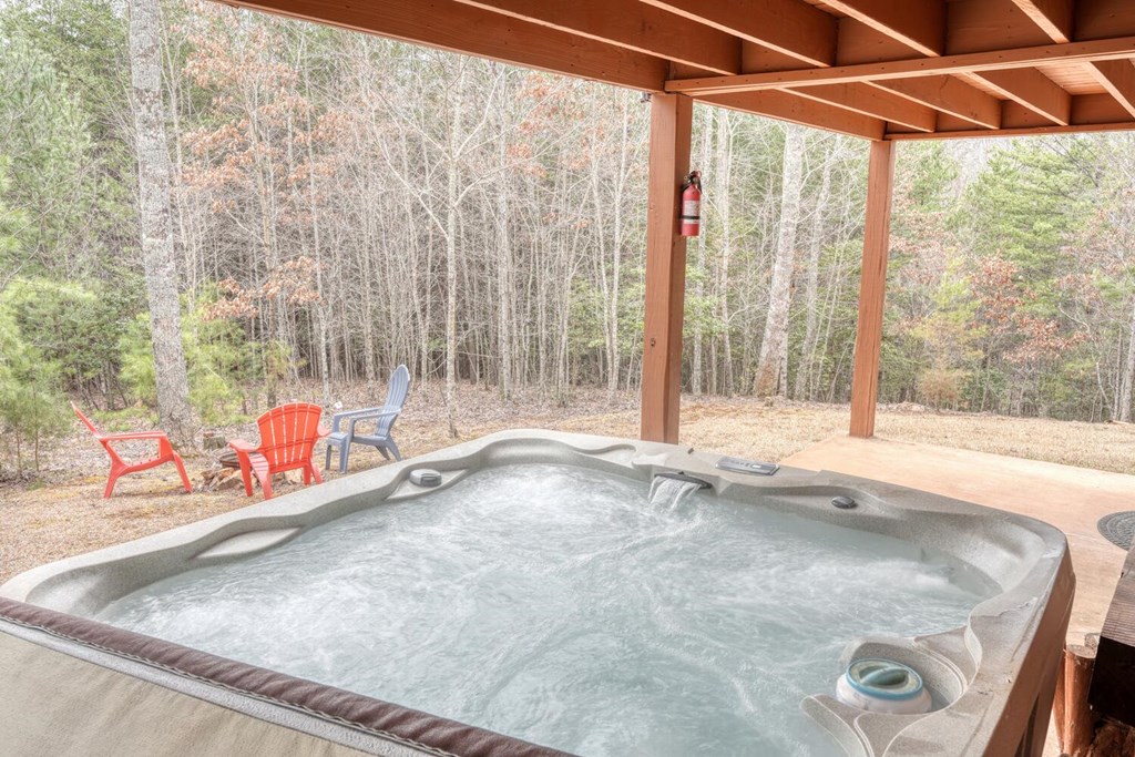315 Hidden Branch Dr, BLAIRSVILLE, Georgia image 4
