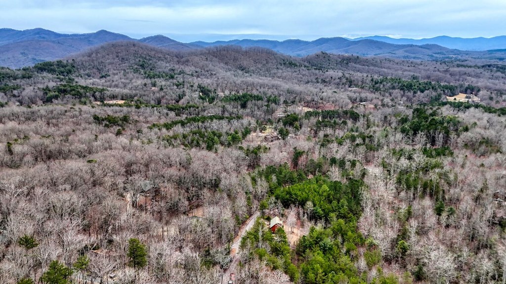 315 Hidden Branch Dr, BLAIRSVILLE, Georgia image 34