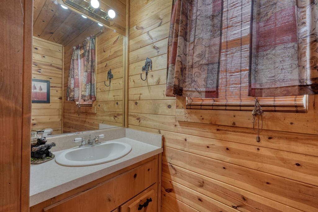 315 Hidden Branch Dr, BLAIRSVILLE, Georgia image 9