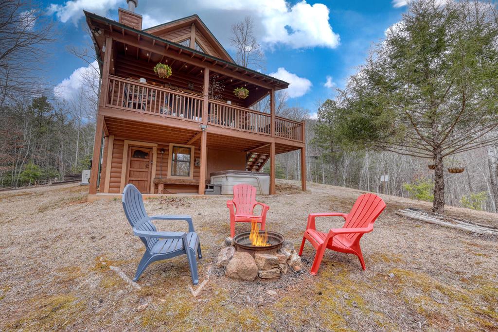 315 Hidden Branch Dr, BLAIRSVILLE, Georgia image 1