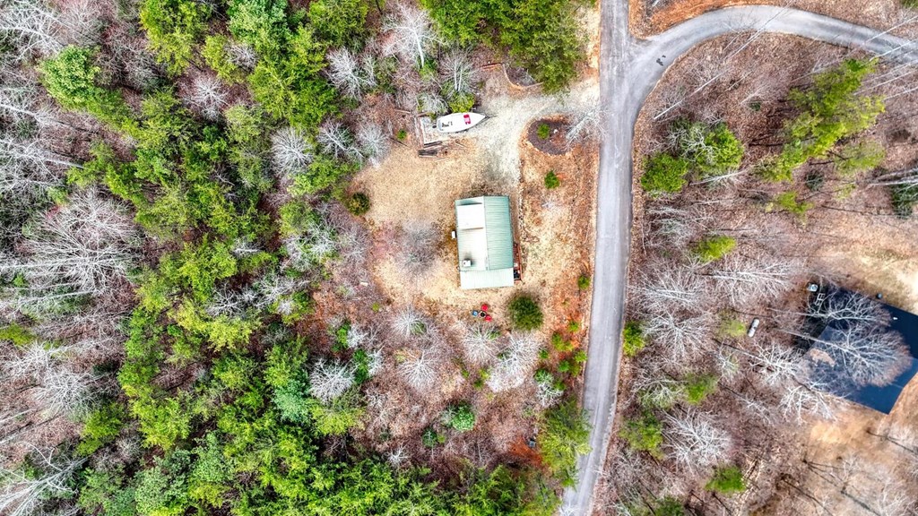 315 Hidden Branch Dr, BLAIRSVILLE, Georgia image 36