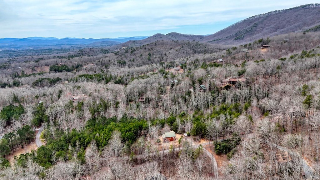 315 Hidden Branch Dr, BLAIRSVILLE, Georgia image 35