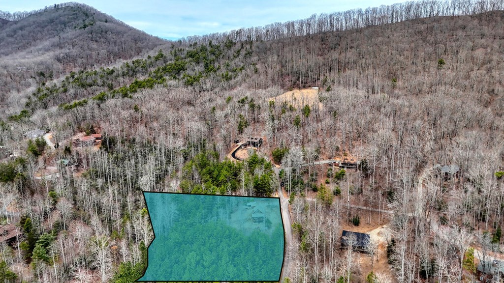 315 Hidden Branch Dr, BLAIRSVILLE, Georgia image 38