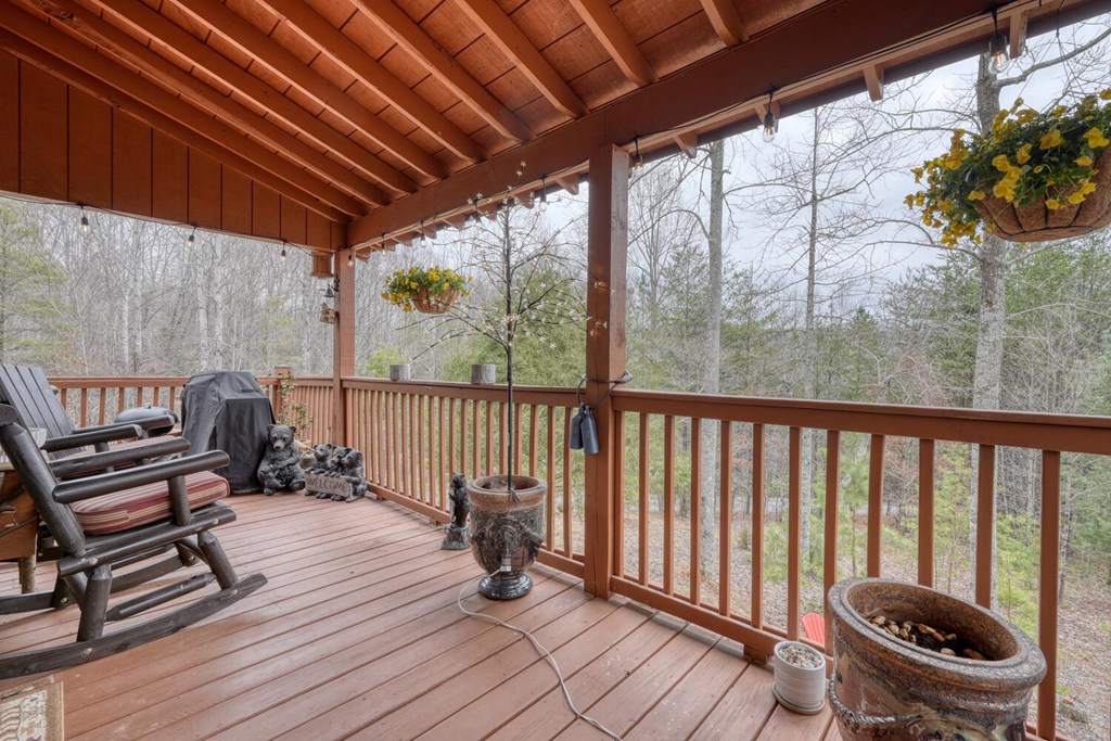 315 Hidden Branch Dr, BLAIRSVILLE, Georgia image 6