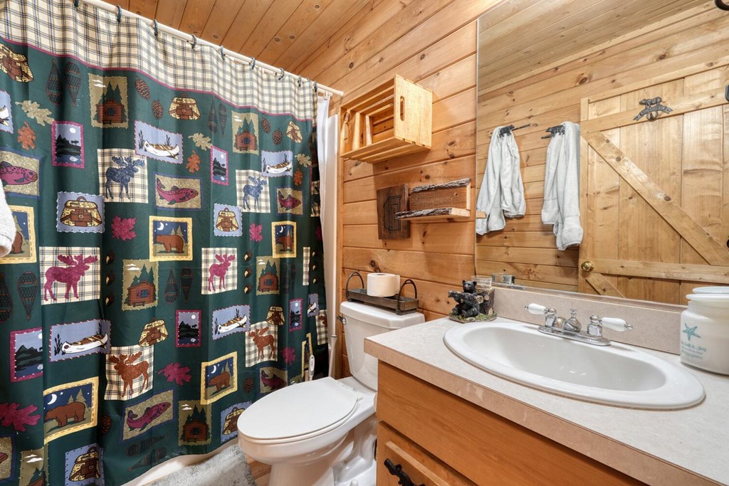 315 Hidden Branch Dr, BLAIRSVILLE, Georgia image 15