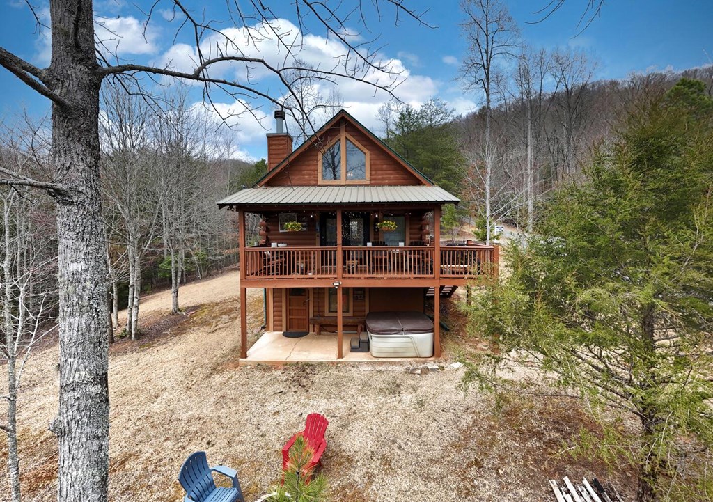 315 Hidden Branch Dr, BLAIRSVILLE, Georgia image 33