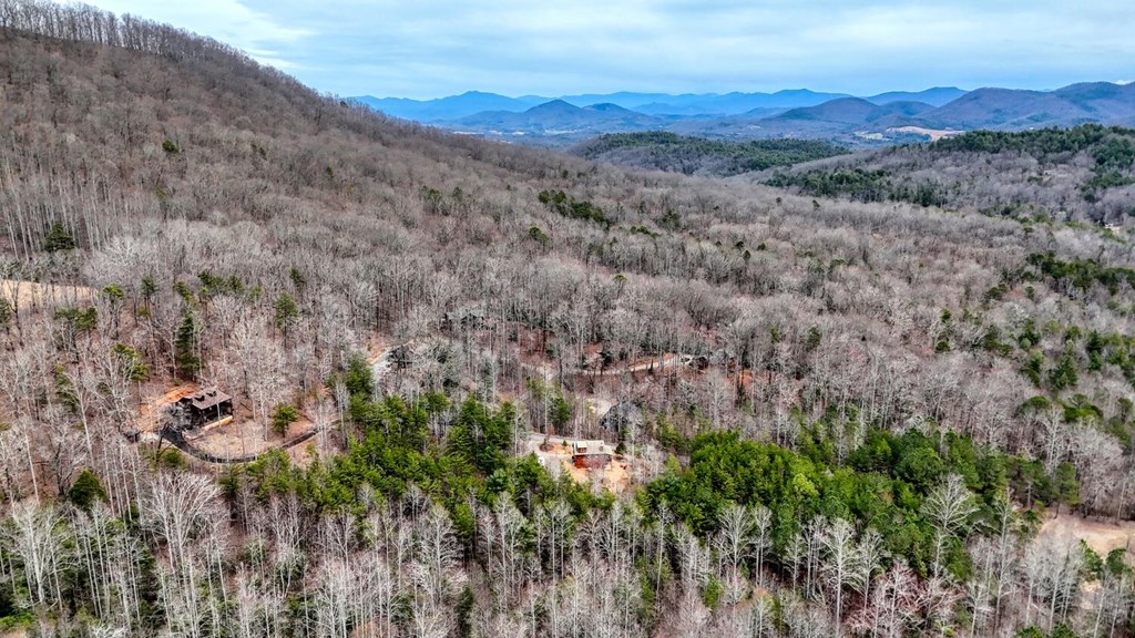 315 Hidden Branch Dr, BLAIRSVILLE, Georgia image 37