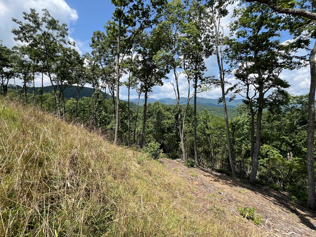 Lot 182 Skyline View Road #182, MURPHY, North Carolina image 3