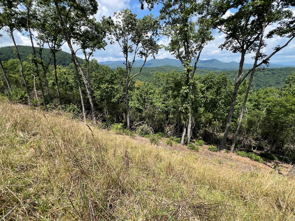 Lot 182 Skyline View Road #182, MURPHY, North Carolina image 4