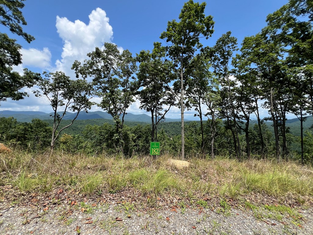 Lot 182 Skyline View Road #182, MURPHY, North Carolina image 2