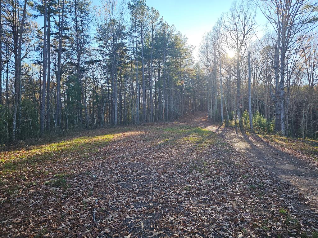 450 Dobbins Park Trail, TURTLETOWN, Tennessee image 10