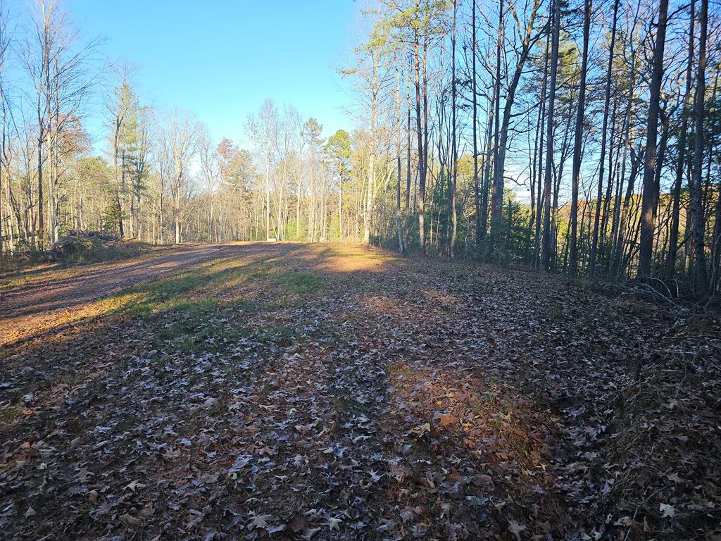 450 Dobbins Park Trail, TURTLETOWN, Tennessee image 11