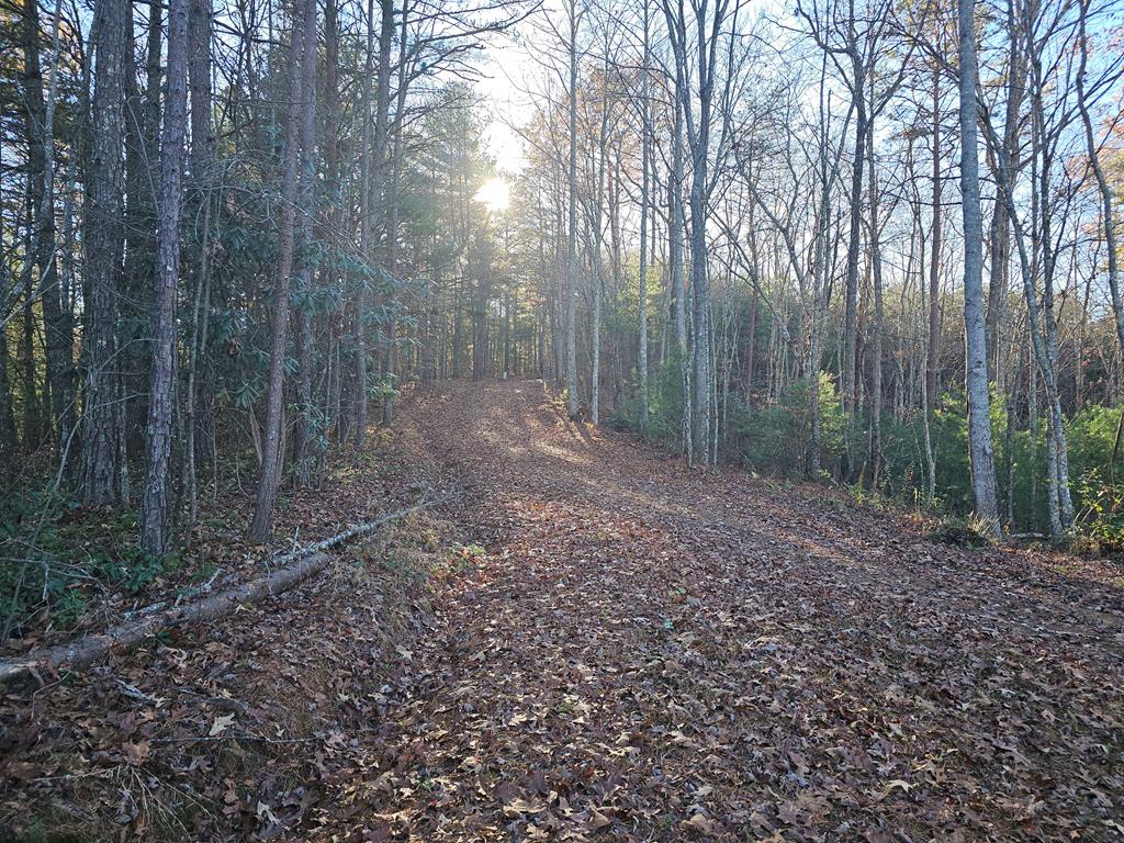 450 Dobbins Park Trail, TURTLETOWN, Tennessee image 12