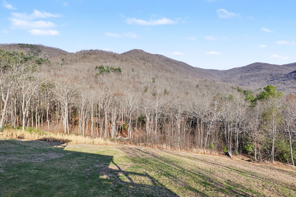Hiawassee, Georgia, 30546, United States, 4 Bedrooms Bedrooms, ,3 BathroomsBathrooms,Residential,Active,2032075
