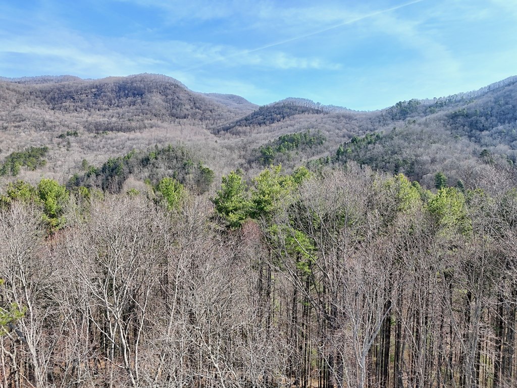 Hiawassee, Georgia, 30546, United States, 4 Bedrooms Bedrooms, ,3 BathroomsBathrooms,Residential,Active,2032075