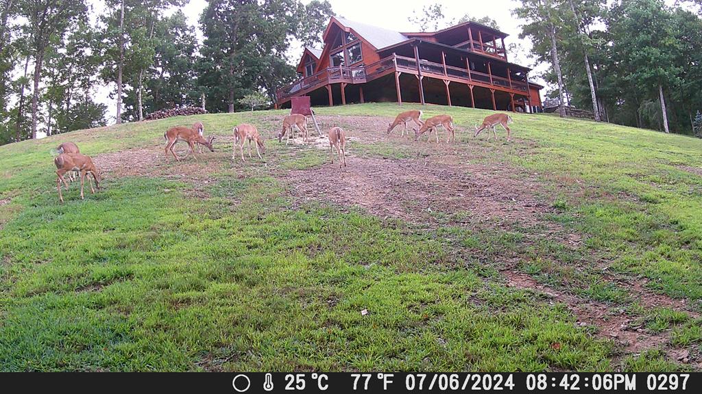 Hiawassee, Georgia, 30546, United States, 4 Bedrooms Bedrooms, ,3 BathroomsBathrooms,Residential,Active,2032075