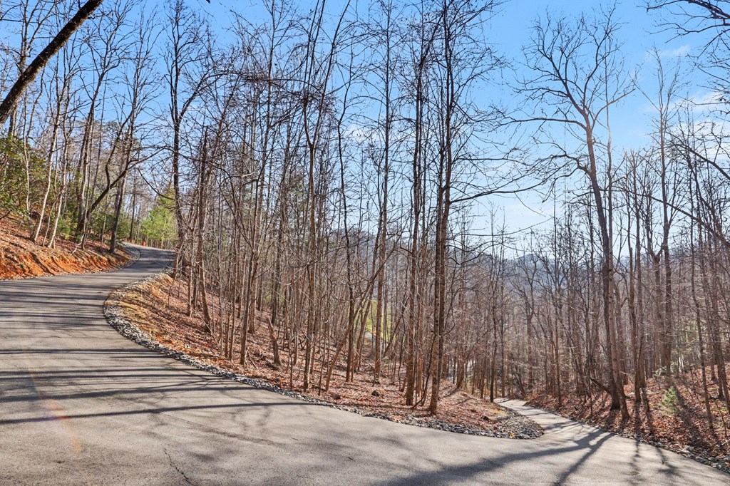 Hiawassee, Georgia, 30546, United States, 4 Bedrooms Bedrooms, ,3 BathroomsBathrooms,Residential,Active,2032075