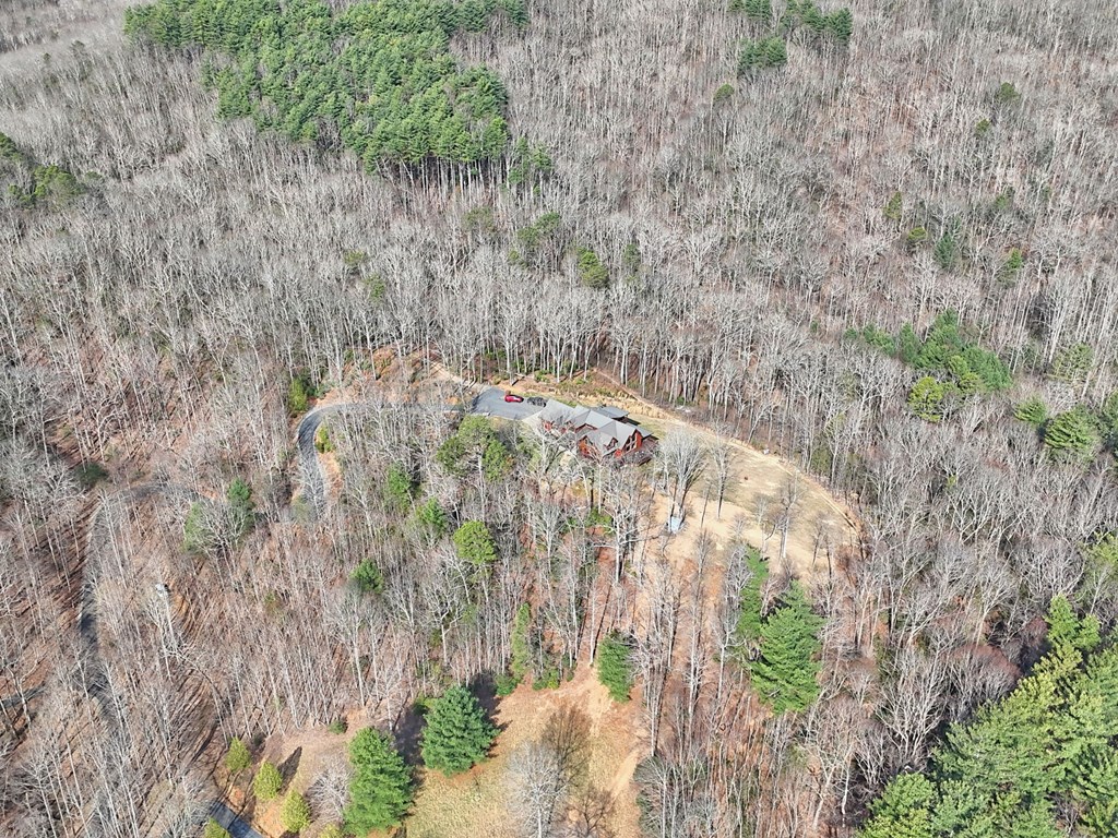 Hiawassee, Georgia, 30546, United States, 4 Bedrooms Bedrooms, ,3 BathroomsBathrooms,Residential,Active,2032075