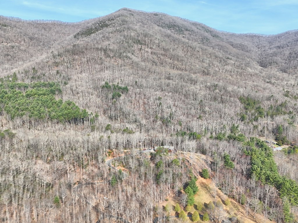 Hiawassee, Georgia, 30546, United States, 4 Bedrooms Bedrooms, ,3 BathroomsBathrooms,Residential,Active,2032075