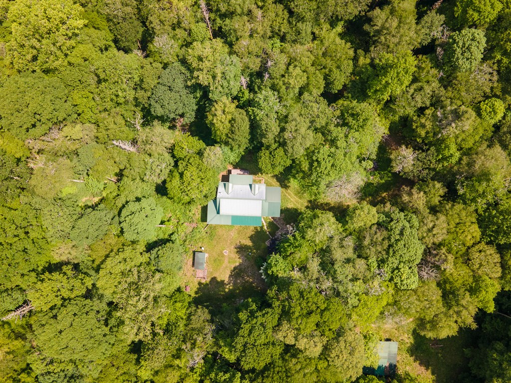 293 Juanita Branch, ROBBINSVILLE, North Carolina image 14