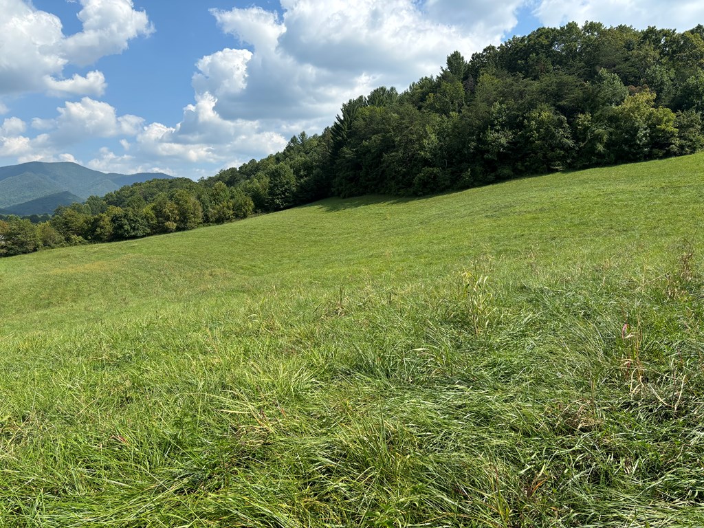 9.12 Mission Hill Rd, HAYESVILLE, North Carolina image 15