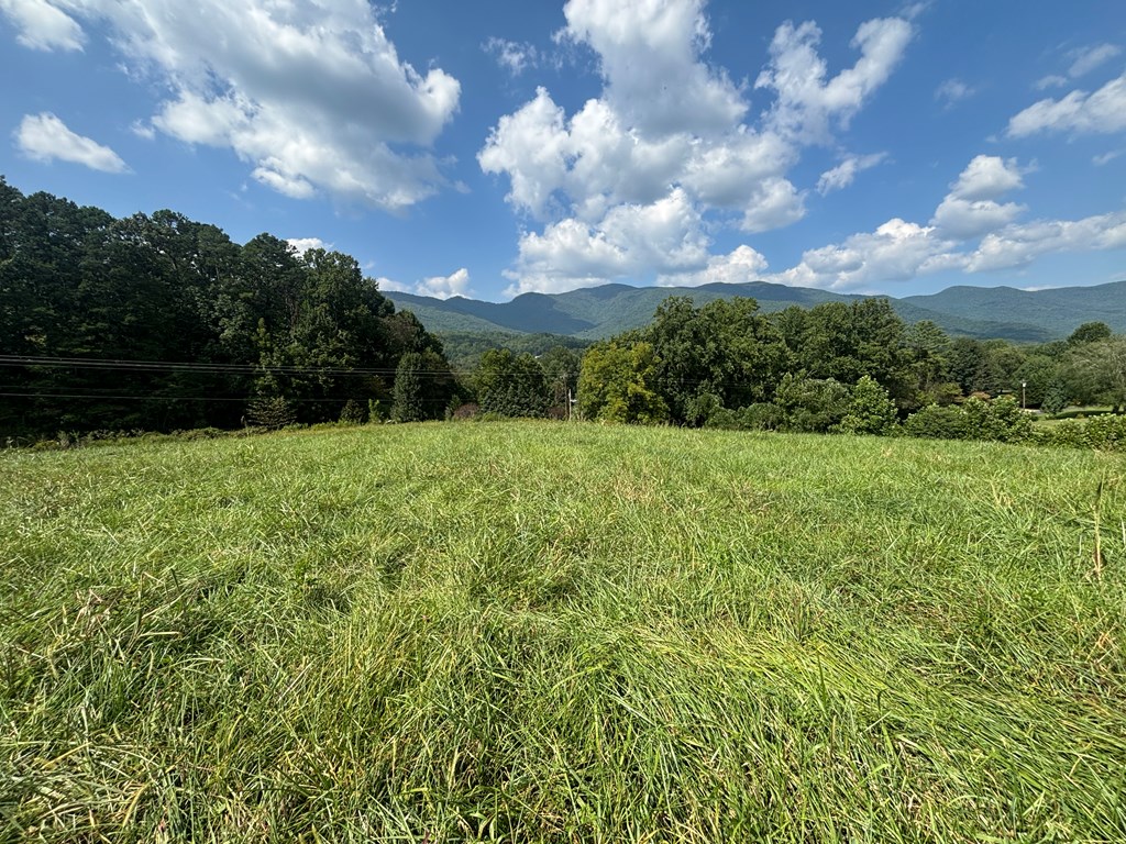 9.12 Mission Hill Rd, HAYESVILLE, North Carolina image 13