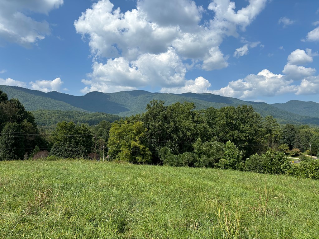 9.12 Mission Hill Rd, HAYESVILLE, North Carolina image 5