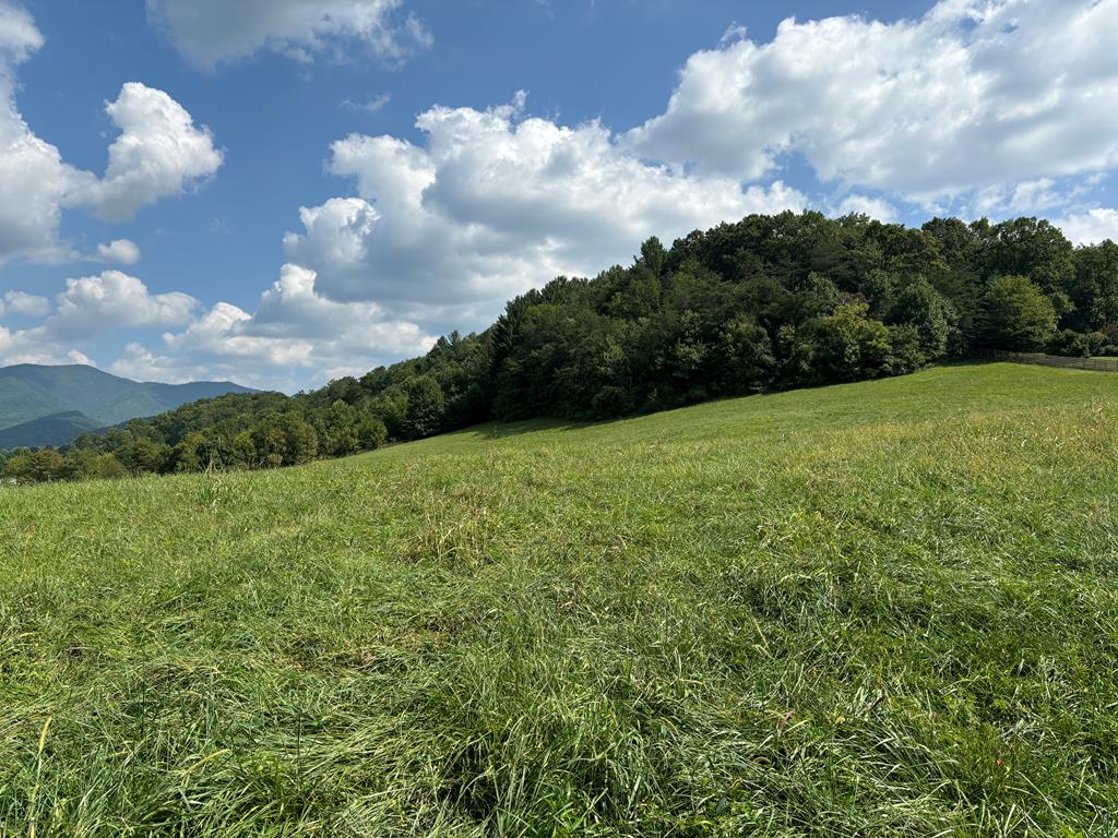 9.12 Mission Hill Rd, HAYESVILLE, North Carolina image 1