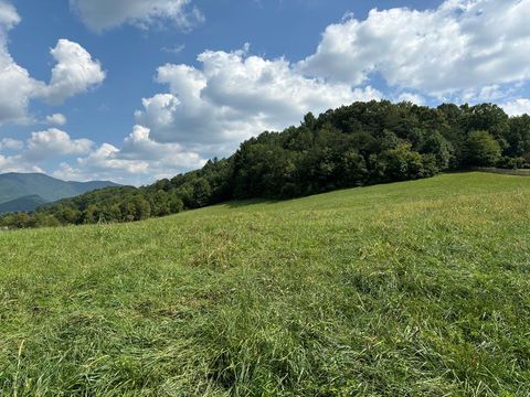 Vacant Land For Sale - 9.12 Mission Hill Rd<br/> Clay County, HAYESVILLE, NC 28904