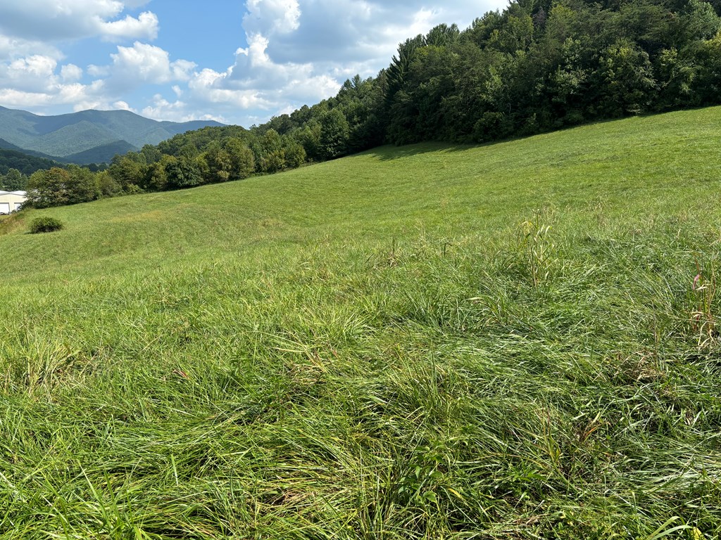 9.12 Mission Hill Rd, HAYESVILLE, North Carolina image 12