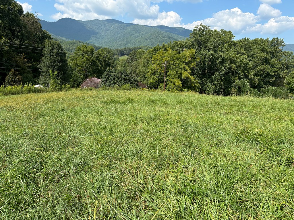 9.12 Mission Hill Rd, HAYESVILLE, North Carolina image 4