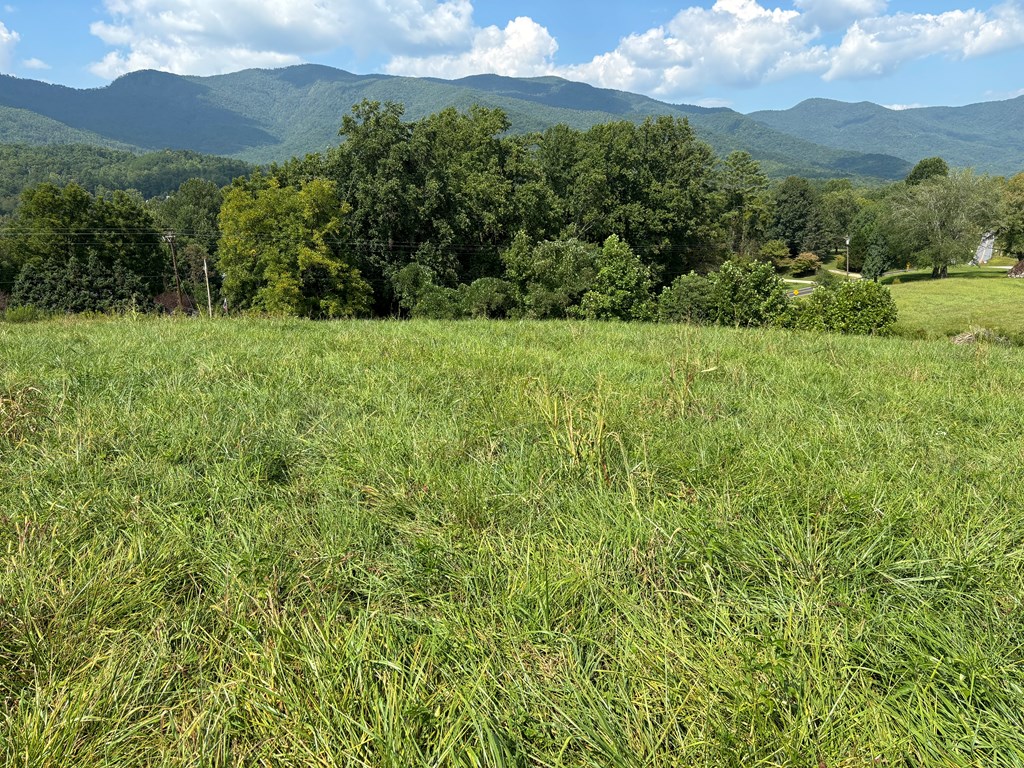 9.12 Mission Hill Rd, HAYESVILLE, North Carolina image 14