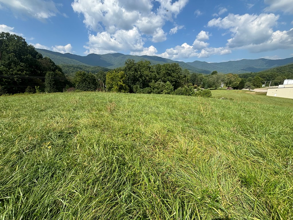 9.12 Mission Hill Rd, HAYESVILLE, North Carolina image 8