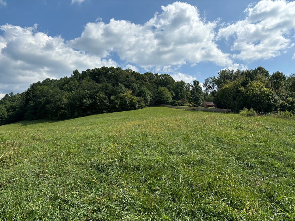 9.12 Mission Hill Rd, HAYESVILLE, North Carolina image 6