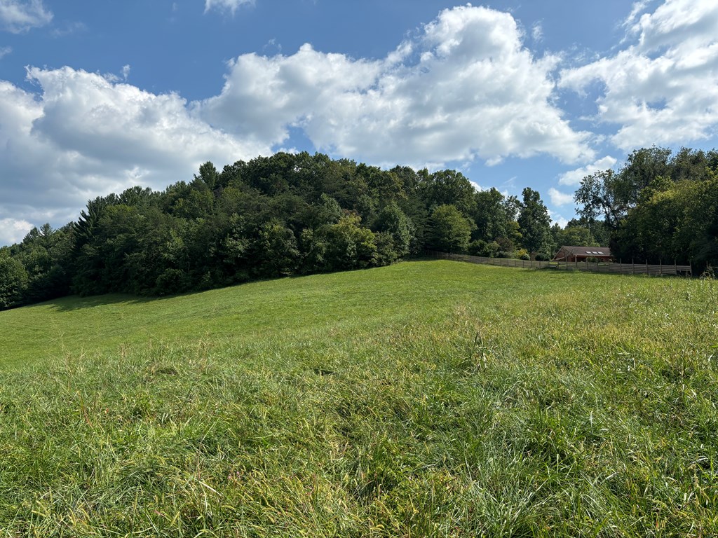 9.12 Mission Hill Rd, HAYESVILLE, North Carolina image 7