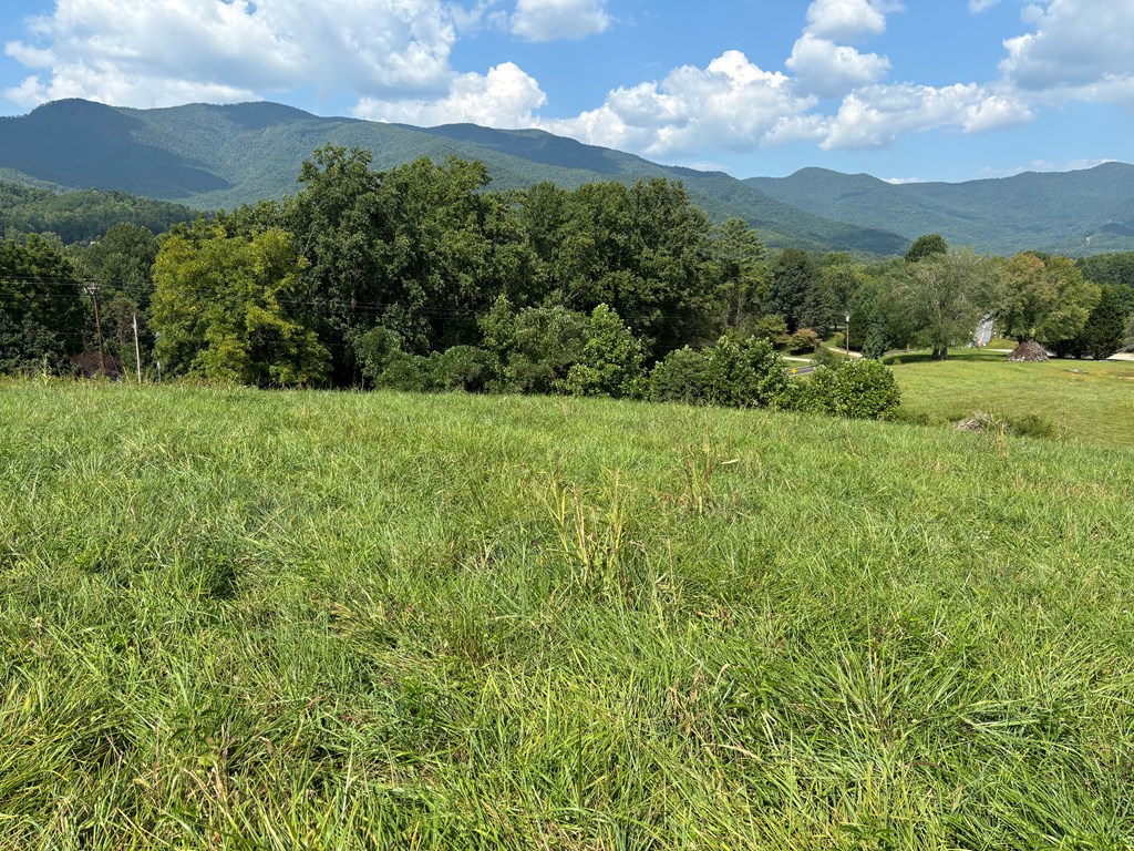 9.12 Mission Hill Rd, HAYESVILLE, North Carolina image 3