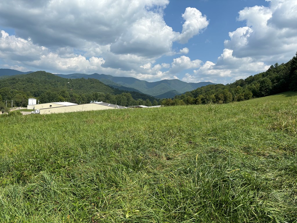 9.12 Mission Hill Rd, HAYESVILLE, North Carolina image 11
