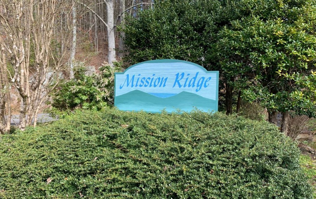 Lot 49 Mission Ridge #49, HAYESVILLE, North Carolina image 10