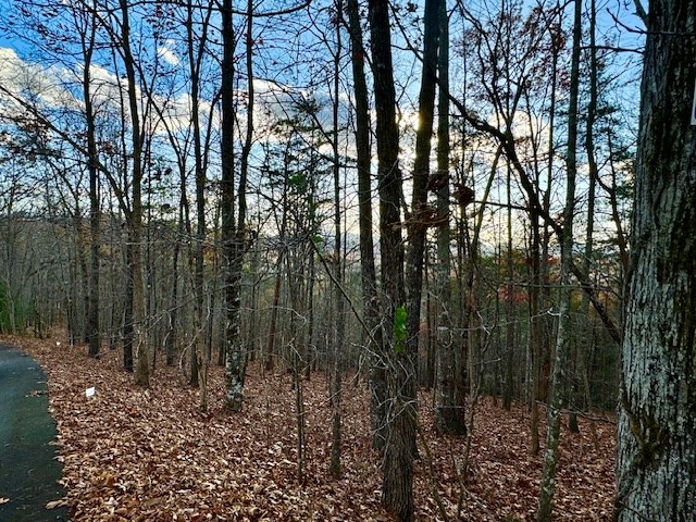 Lot 49 Mission Ridge #49, HAYESVILLE, North Carolina image 11