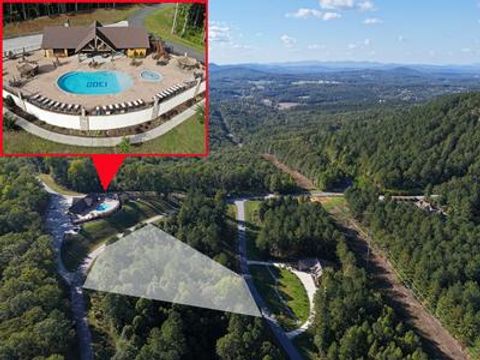 Vacant Land For Sale - LOT 55 Thirteen Hundred #55<br/> Union County, BLAIRSVILLE, GA 30512