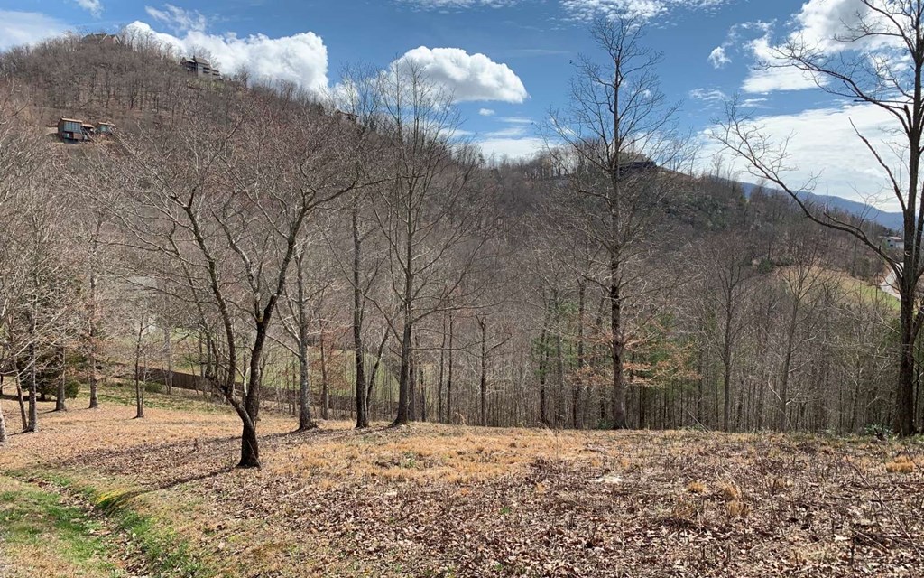 Lot 42 Dan Knob #42, HAYESVILLE, North Carolina image 18