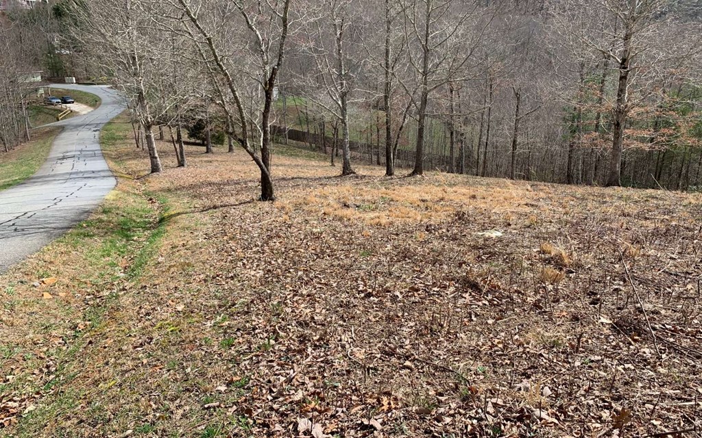 Lot 42 Dan Knob #42, HAYESVILLE, North Carolina image 15