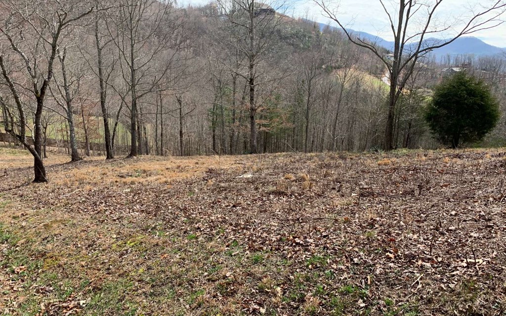 Lot 42 Dan Knob #42, HAYESVILLE, North Carolina image 17