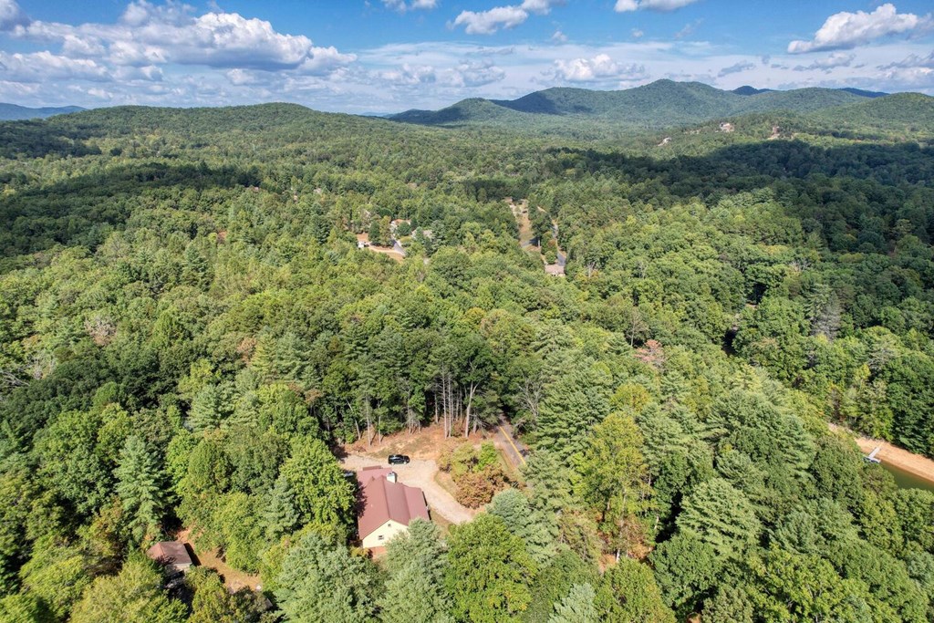 Lot 11 Lakemont, BLAIRSVILLE, Georgia image 14