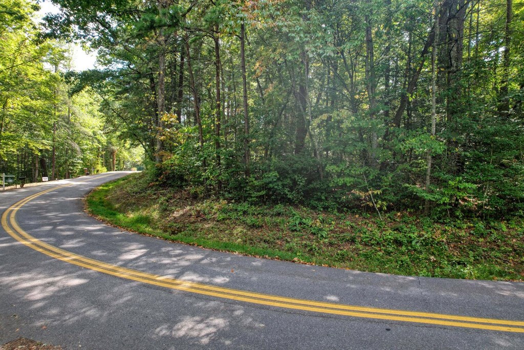 Lot 11 Lakemont, BLAIRSVILLE, Georgia image 6